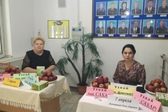 IMG-20190408-WA0020