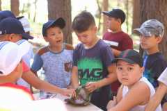 IMG-20190731-WA0037