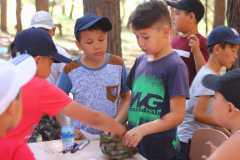 IMG-20190731-WA0039