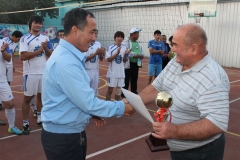 13AlmatiDP2013