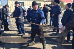 ypch1