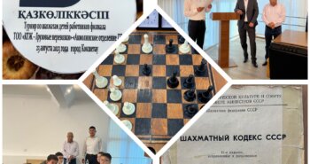 Подробнее о статье Отборочный шахматный турнир