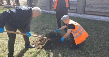 Подробнее о статье На городской субботник