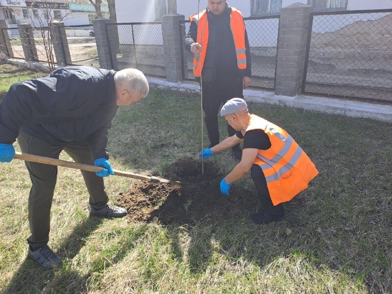 Вы сейчас просматриваете На городской субботник